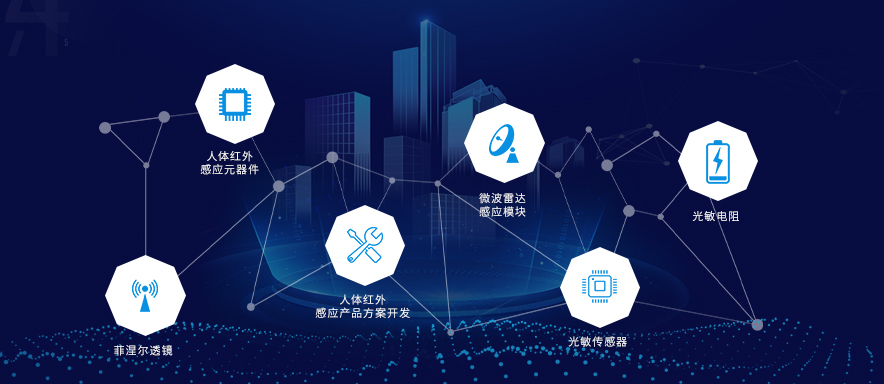 深圳市智感电子技术开发有限公司